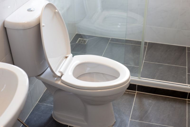 Modern Toilet Styles